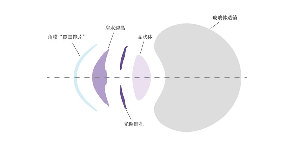 眼视觉系统01